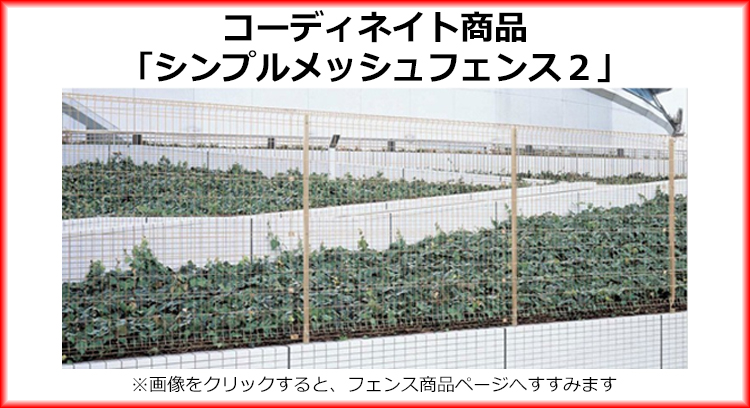 コーディネイト商品はこちら