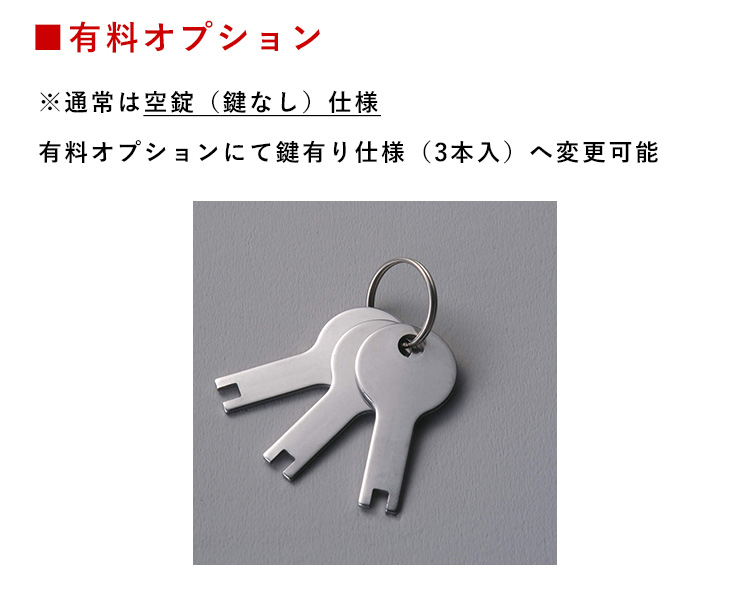 有料オプション